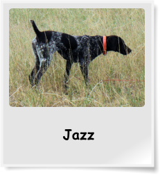 Jazz