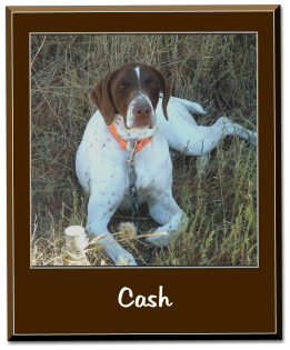 Cash